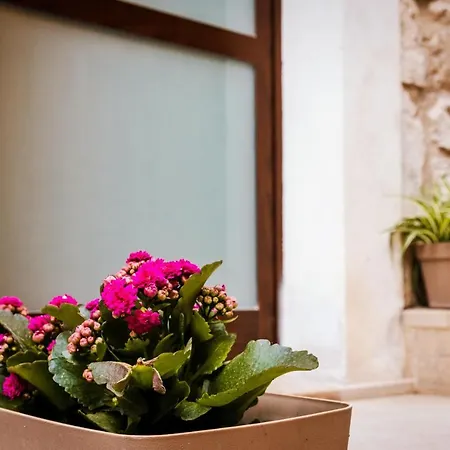 Cuocciu D'amuri Holiday home Modica