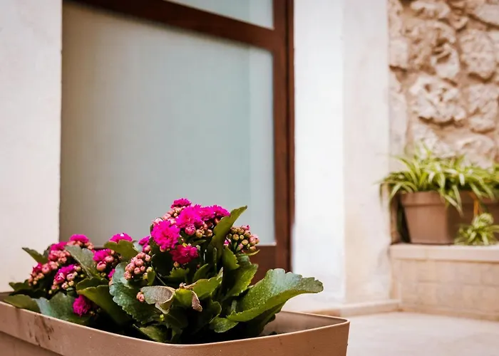 Cuocciu D'amuri Tatil Evi Modica